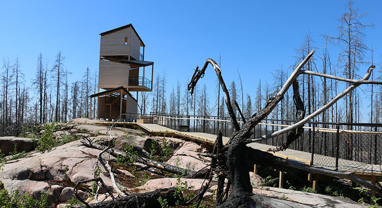 H�lleskogsbr�nnan och olje�n