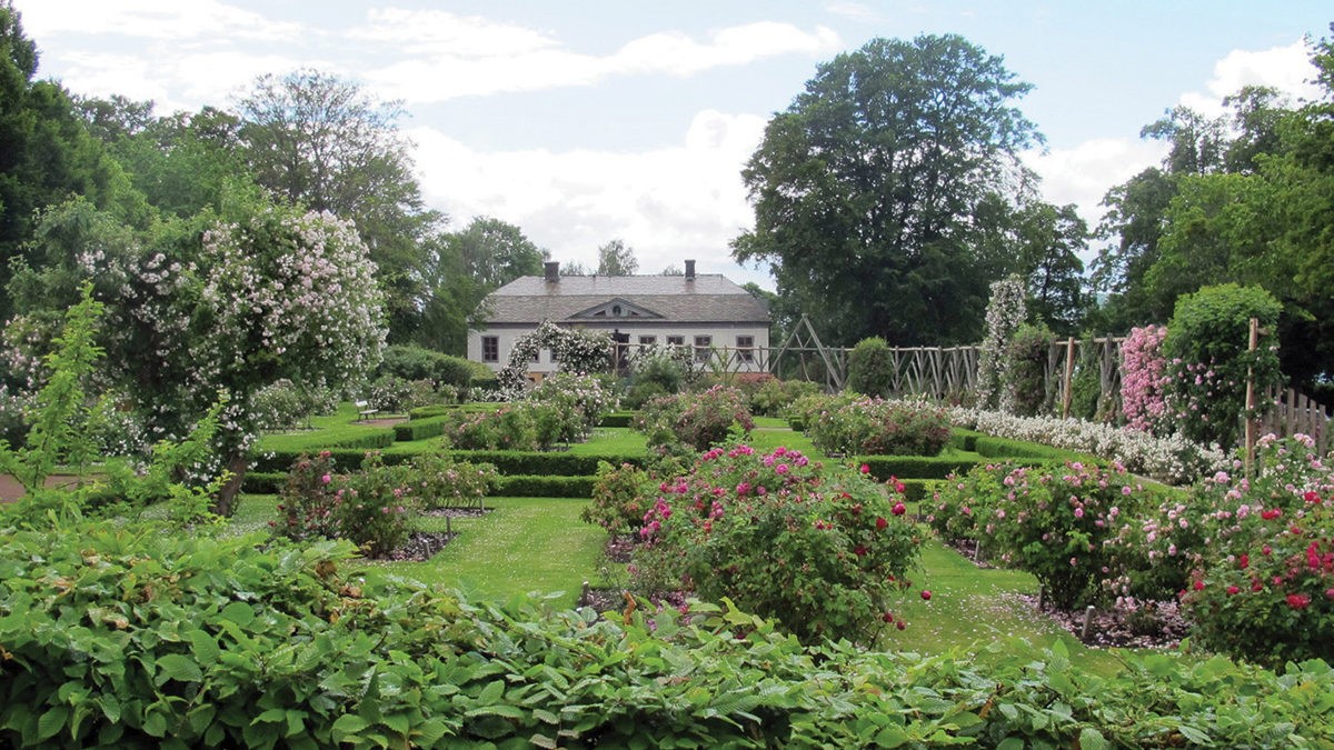 Rosenlunds herrg�rd och rosarium, 21/8